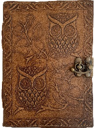 Owls Journal - 5 x 7
