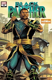 Black Panther no. 25 (2018 Series) (Reborn Variant) 