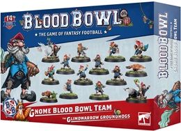 Blood Bowl: Gnome Team 202-41