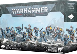 Warhammer 40k: Spacee Wolves: Grey Hunters 53-21