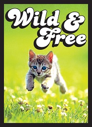 Sleeve: Matte: Wild and Free Kitten (50)