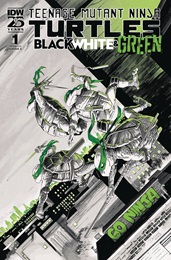 TMNT: Black White and Green no. 1 (2024 Series)