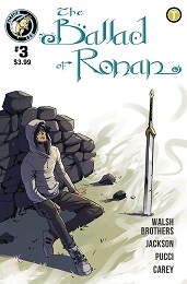 Ballad of Ronan no. 3 (2022 Series)