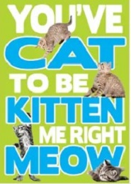 Jumbo Magnet: You've Cat To Be Kitten Me