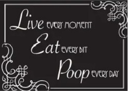 Jumbo Magnet: Live Every Moment Eat Every Bit