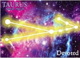 Jumbo Magnet: Taurus Constellation