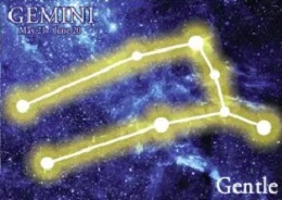 Jumbo Magnet: Gemini Constellation