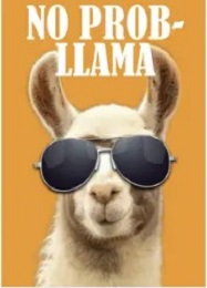Jumbo Magnet: No Prob Llama