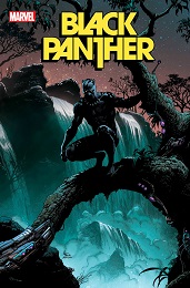 Black Panther no. 3 (2021 Series) (Frank Variant)