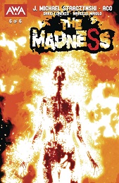The Madness no. 6 (2023 Series) (MR)