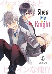 Shes My Knight Volume 1 GN (MR)