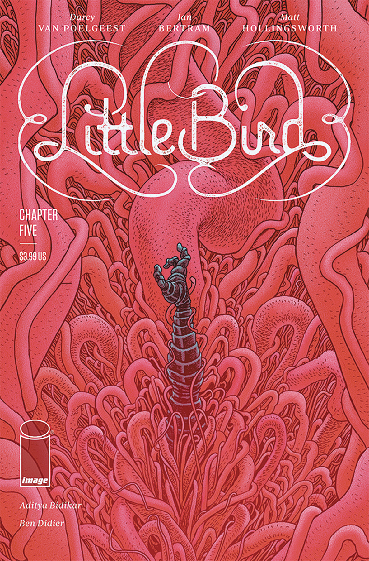 Little Bird no. 5 (5 of 5) (2019 Series)