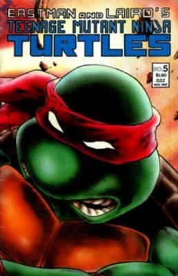 Teenage Mutant Ninja Turtles (1984) no. 5 Second Printing - Used