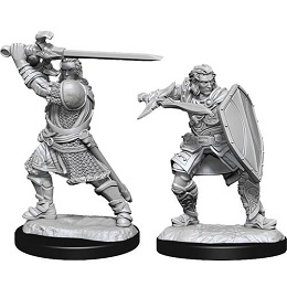 Dungeons and Dragons Nolzurs Marvelous Unpainted Minis Wave 14: Male Human Paladin 