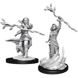 Dungeons and Dragons Nolzurs Marvelous Unpainted Minis Wave 14: Female Human Druid