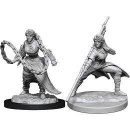 Dungeons and Dragons Nolzurs Marvelous Unpainted Minis Wave 14: Female Human Monk