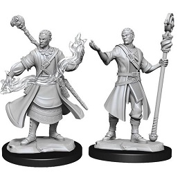 Dungeons and Dragons Nolzurs Marvelous Unpainted Minis Wave 14: Male Half-Elf Wizard