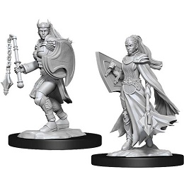 Dungeons and Dragons Nolzurs Marvelous Unpainted Minis Wave 14: Female Kalashtar Cleric 