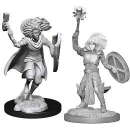 Dungeons and Dragons Nolzurs Marvelous Unpainted Minis Wave 14: Male Changeling Cleric