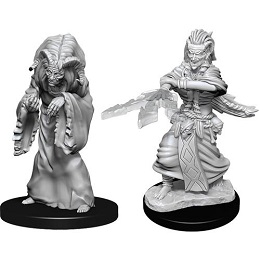 Dungeons and Dragons Nolzurs Marvelous Unpainted Minis Wave 14: Night Hag and Dusk Hag 