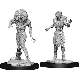 Dungeons and Dragons Nolzurs Marvelous Unpainted Minis Wave 14: Drowned Assassin and Drowned Asetic
