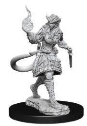  Dungeons and Dragons: Nolzur's Marvelous Unpainted Miniatures Wave 15: Female Tiefling Sorcerer