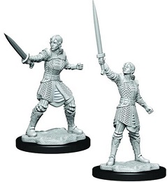 Critical Role Unpainted Miniatures: Wave 1: Human Dwendalian Empire Fighter Female