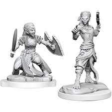 Dungeons and Dragons: Nolzurs Marvelous Unpainted Miniatures Wave 20: Shifter Fighter