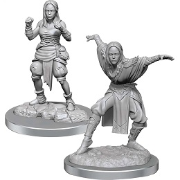 Pathfinder Battles Deep Cuts Unpainted Miniatures Wave 21: Half-Elf Monk Female