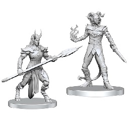 Pathfinder Deep Cuts Unpainted Minis: Vordine and Pitborn Rogue