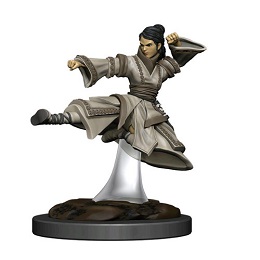 Dungeons and Dragons Fantasy Miniatures: Icons of the Realms Premium Figure: Human Female Monk