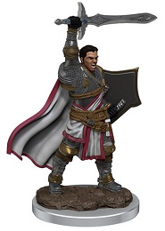 Dungeons and Dragons: Icons of the Realms: Premium Painted Miniatures: Wave 7: Male Human Paladin (93058)