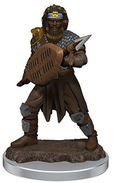 Dungeons and Dragons: Icons of the Realms: Premium Painted Miniatures: Wave 7: Male Human Fighter (93059)