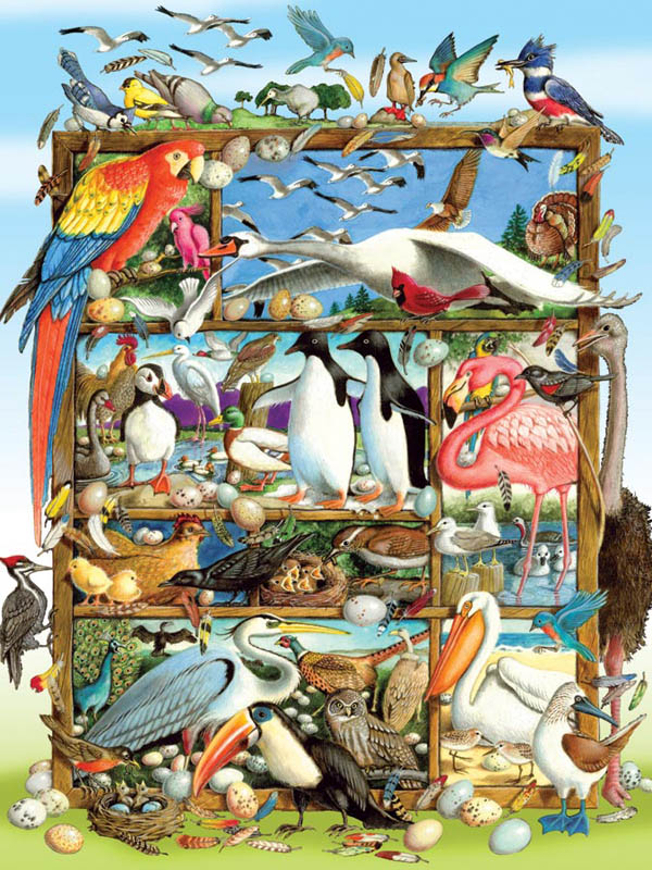 Birds of the World Puzzle - 350 piece