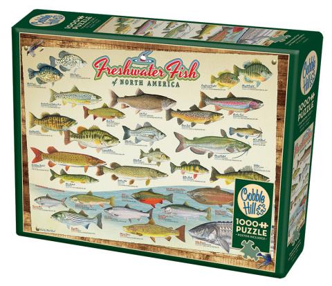 Freshwater Fish of North America Puzzle - 1000 piece