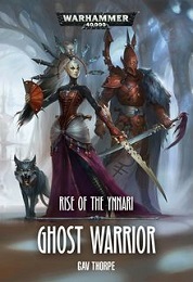 Ghost Warrior: Rise of Ynnair Novel