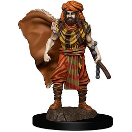 Dungeons and Dragons Fantasy Miniatures: Icons of the Realms Premium Figure: Human Male Druid