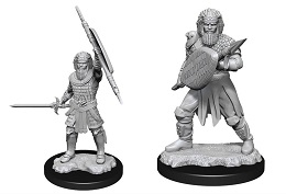 Dungeons and Dragons Nolzurs Marvelous Unpainted Minis Wave 13: Human Male Fighter