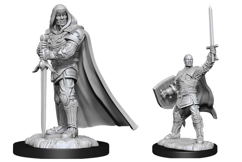 Dungeons and Dragons Nolzurs Marvelous Unpainted Minis Wave 13: Human Male Paladin