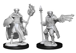 Dungeons and Dragons Nolzurs Marvelous Unpainted Minis Wave 13: Male Cleric Wizard Multiclass 