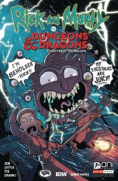 Rick and Morty vs Dungeons and Dragons: Painscape no. 1 (2019 Series) (B Cover)
