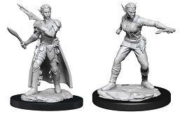 Dungeons and Dragons Nolzurs Marvelous Unpainted Minis Wave 13: Shifter Female Rogue