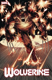 Wolverine DX no. 3 (2020 Series) 