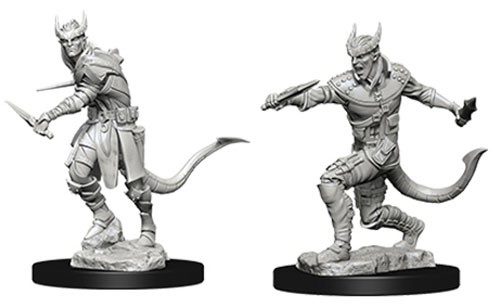 Dungeons and Dragons Nolzurs Marvelous Unpainted Minis: Tiefling Male Rogue