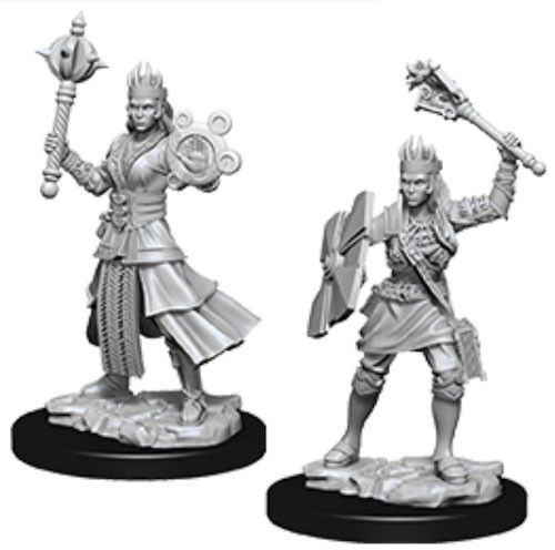  Dungeons and Dragons: Nolzur's Marvelous Unpainted Miniatures: Female Human Cleric